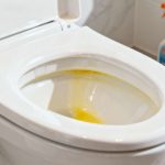 Adiós manchas amarillas: dos productos comunes dejan el inodoro blanco como nuevo