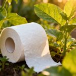 Un rollo de papel higiénico: el truco de jardineros para hacer que tus plantas exploten de vida