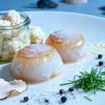 Entrantes gourmet de pescado: recetas elegantes para impresionar